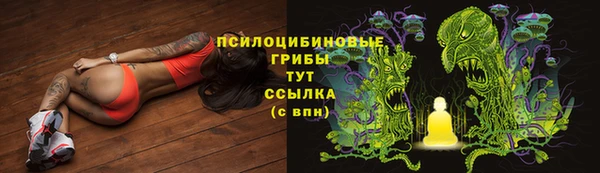 соль ск Осинники