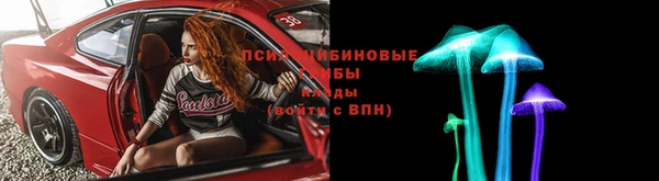 гидра Осташков