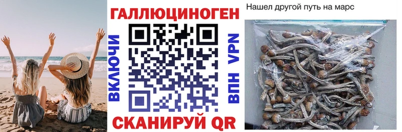 наркота  Краснотурьинск  Галлюциногенные грибы Magic Shrooms 